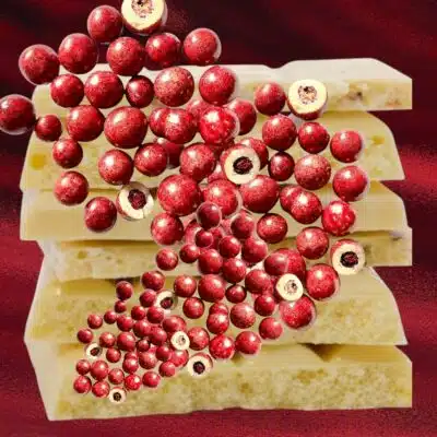 Schoko-Johannisbeeren-Kugeln